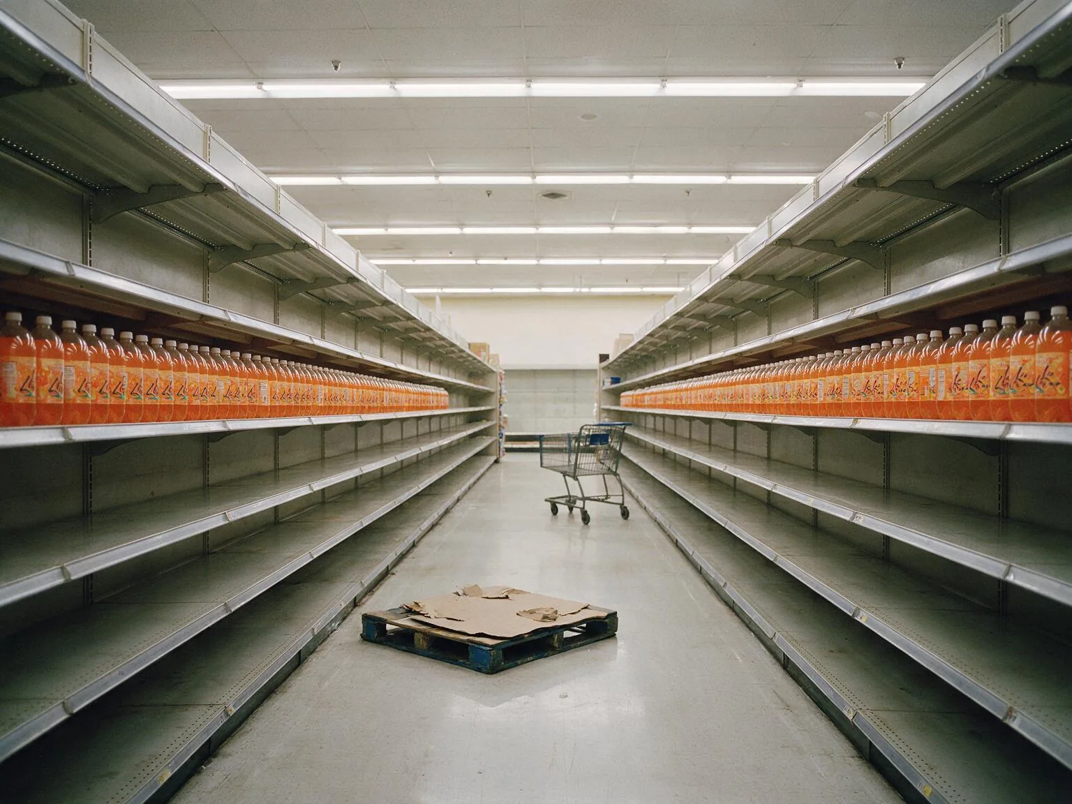 A supermarket water aisle stripped to bare metal shelving except for one full shelf of a single garish seasonal flavour.